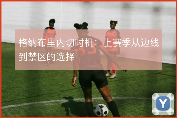 格纳布里内切时机:上赛季从边线到禁区的选择