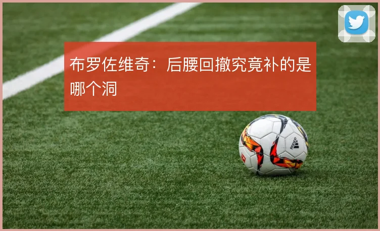 布罗佐维奇：后腰回撤究竟补的是哪个洞