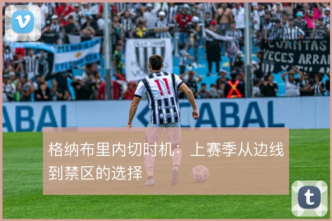 格纳布里内切时机:上赛季从边线到禁区的选择